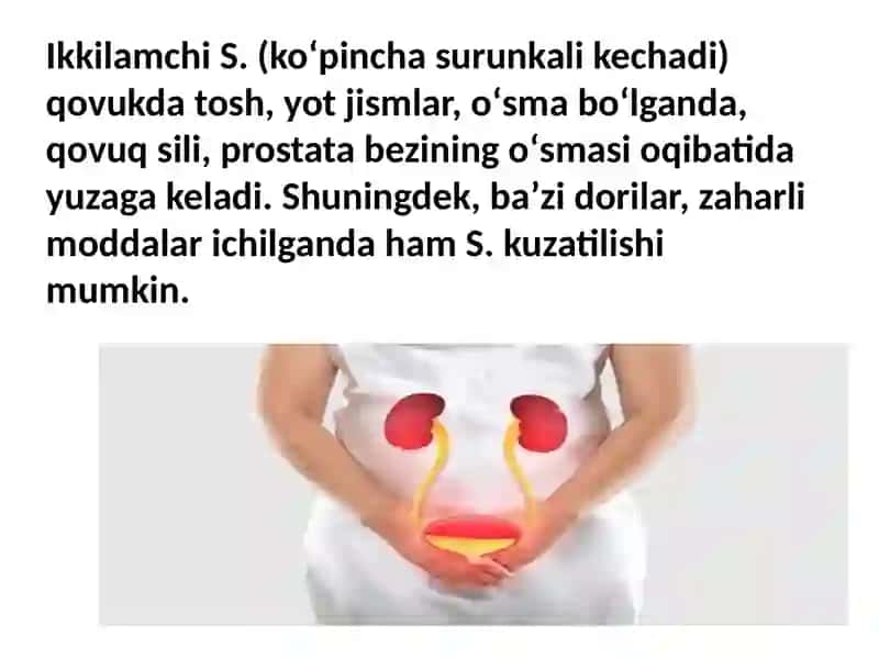 Sistit 4