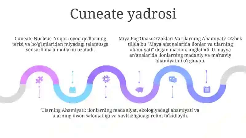 Miya Pog'Onasi O'Zaklari Va Ularning Ahamiyati 4