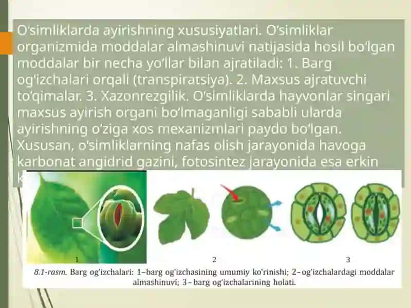BIOLOGIYA 4