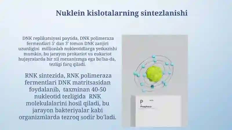 Nuklein kislotalar.Nukleozidlarning mono- va polifosfatlari 4