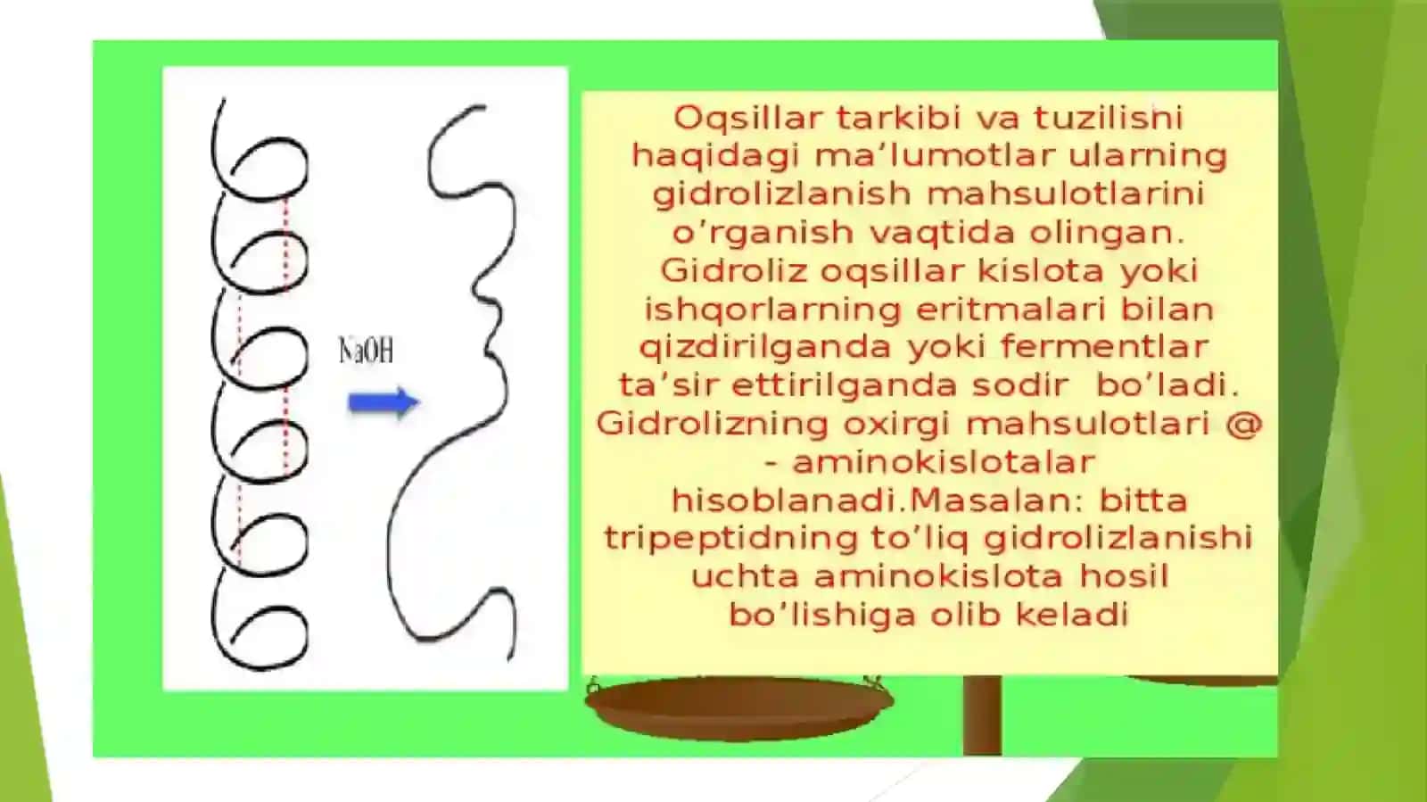 Oqsilbiosintezida RNK va DNK ning roli 4