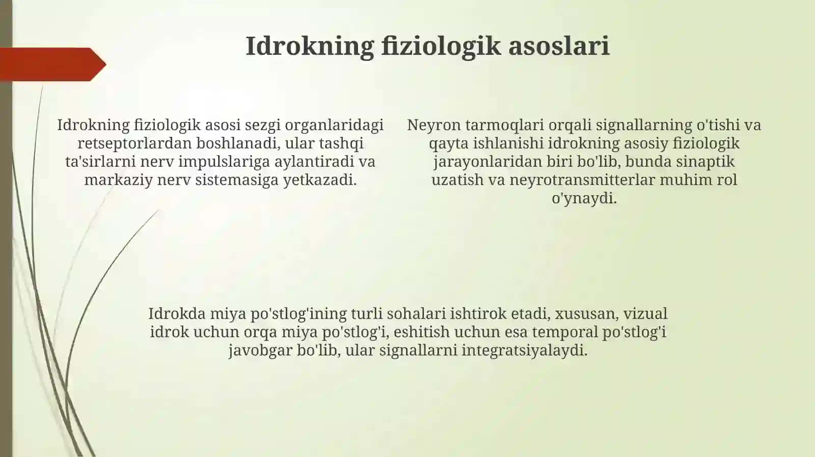 Diqqatsezgivanutqxossalari 4