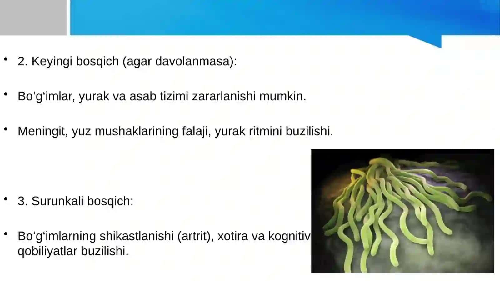 Borreliozlar morfologiyasi,strukturasi,tarqalganligi keltirib chiqaruvchi kassaliklar 4