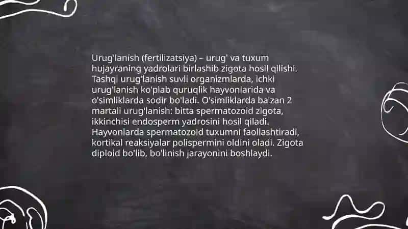 Ontogenez 4
