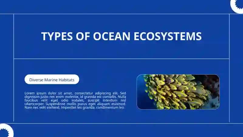 Coral Reefs 4