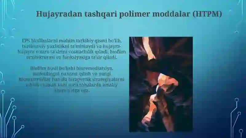 Bakteriyalarning bioplyonkasi hosil qilishi va uning praktik ahamiyati 4