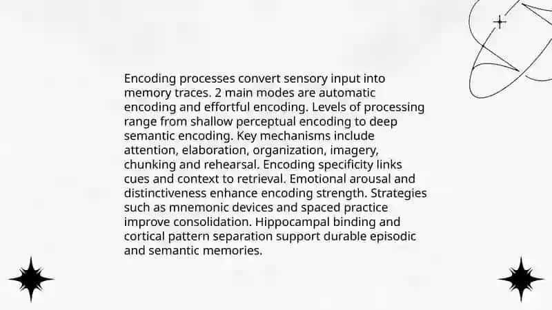 Memory Formation Processes 4