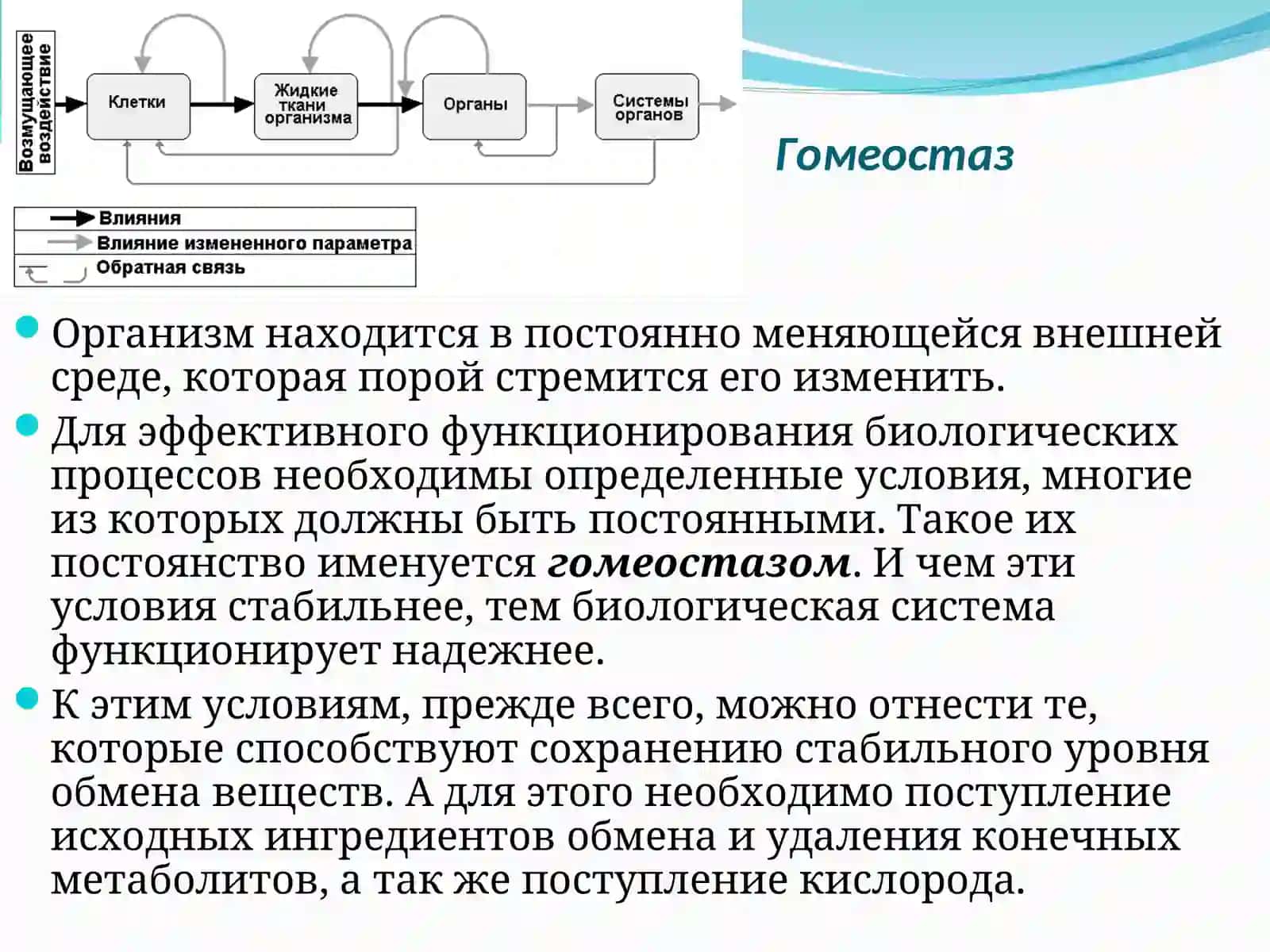 Нормальна фізіологія, Физиология человека, Фізіологія людини 4