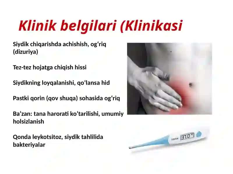 CISTIT 4