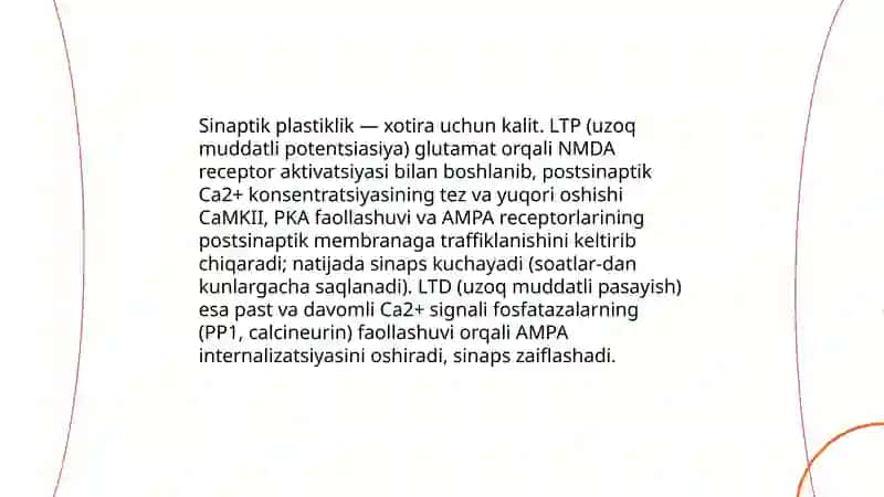 Xotiraning fiziologik asoslari 4