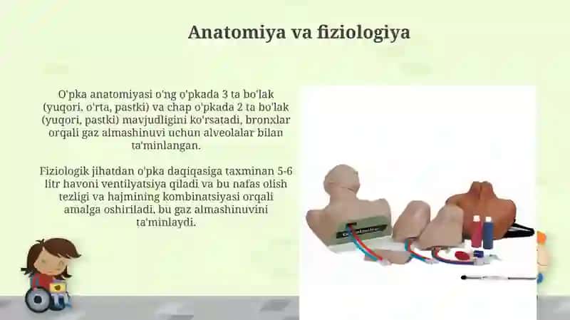 O'pkani palpatsiya qilish - nafas olish tizimining muhim tekshiruvi 4