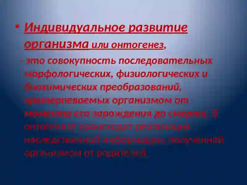 Биология индивидуального развития 4
