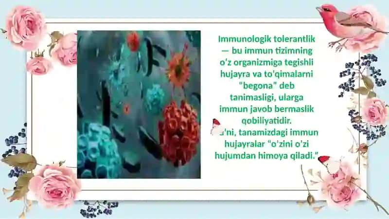 Immunologik tolerantlik nuqsonlari. Avtoimmun xastaliklar. Psevdoallergiya. Atopik kasalliklar haqida tushuncha, dori va ozuqaviy allergiya. 4