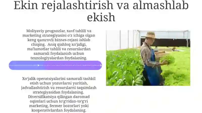 Ko'p tarmoqli fermer xo'jaliklar faoliyatini tashkil etish va rivojlantirish yo'llari 4