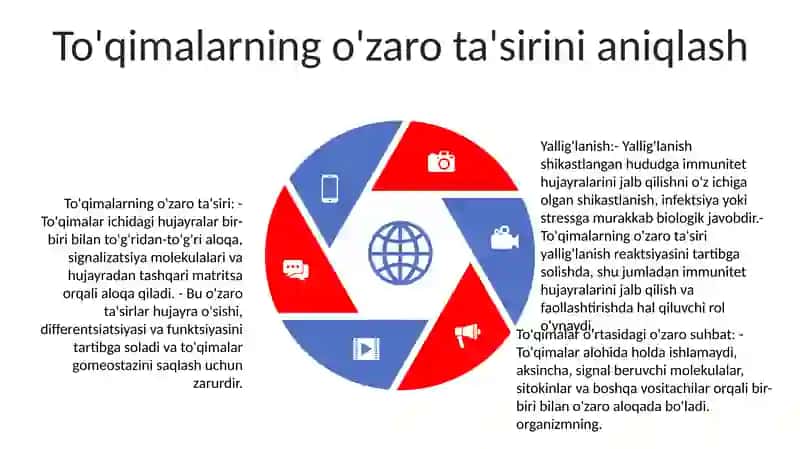 Yalliğlanish Reaksiyasi Vaqtida To'Qimalarning O'Zaro Ta'Siri 4