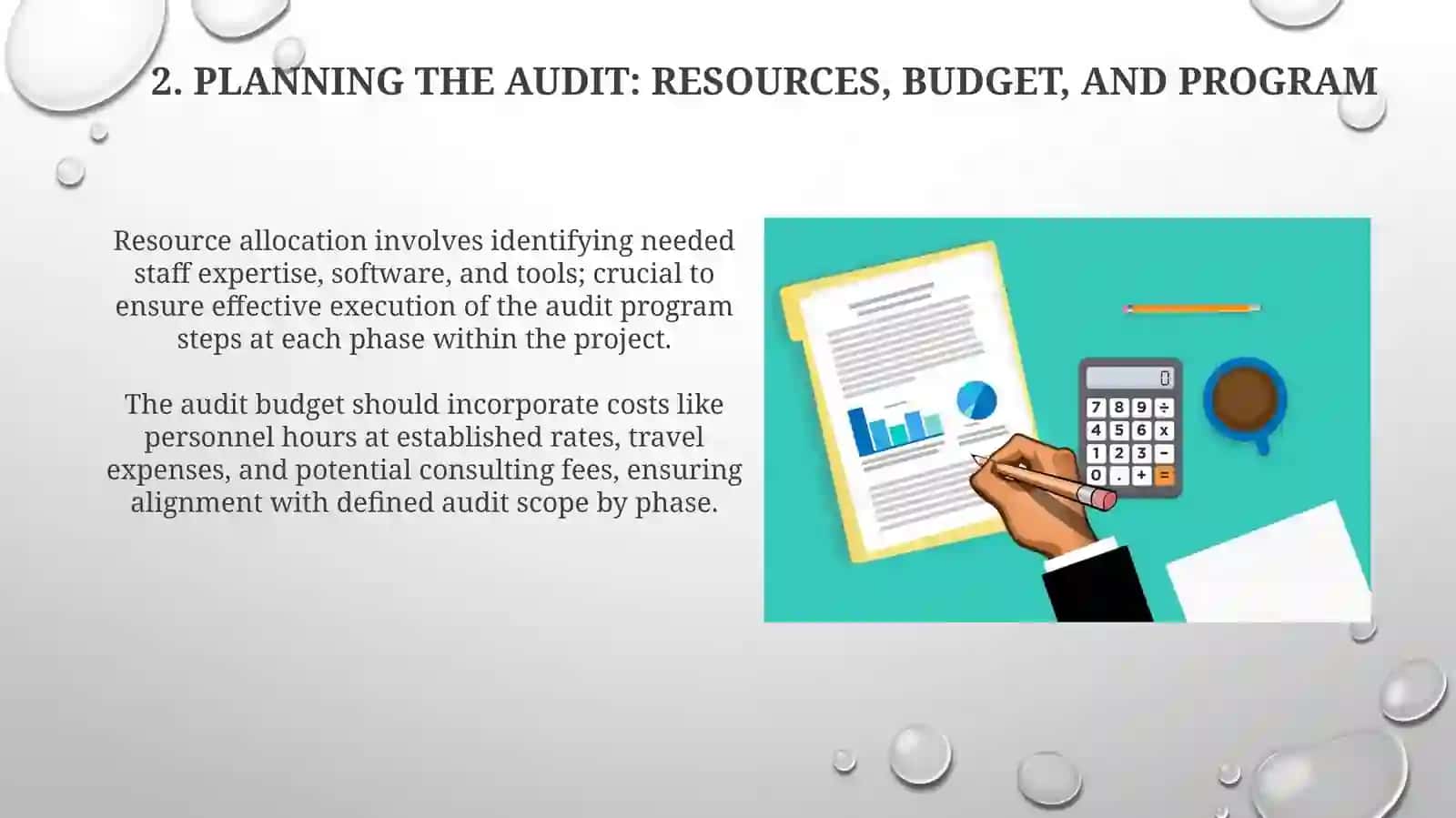 Steps in planning an internal audit engagement 4