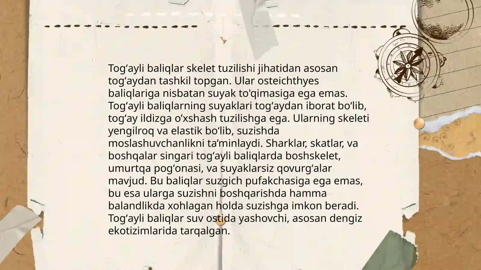 Togʻayli baliqlarning tuzilishi va hayot kechirishi 4