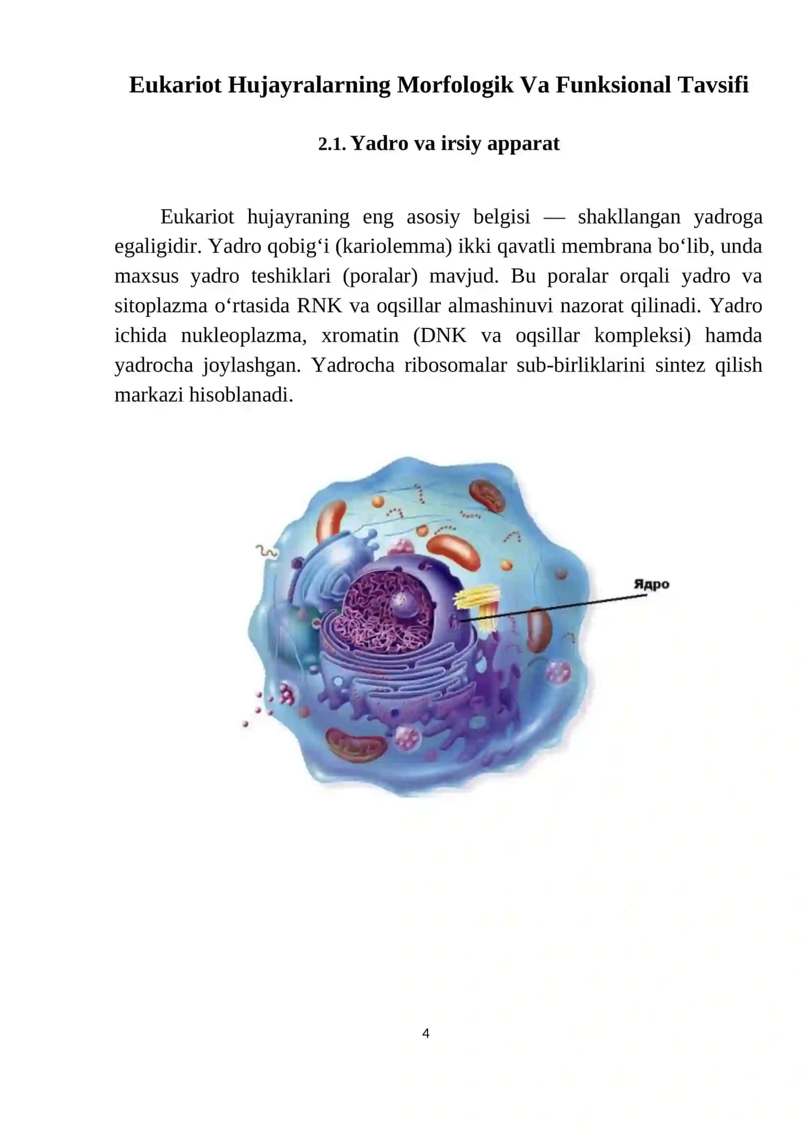 Tibbiy Biologiya va Gistologiya 4