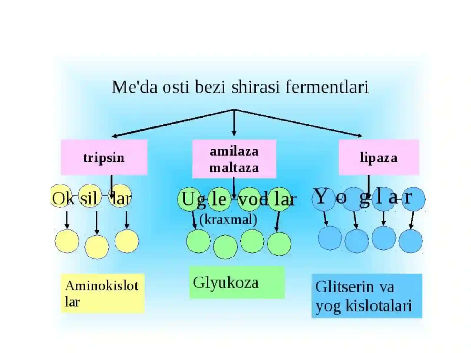 1-SONDA VOLASH 207-AGRUGRUHTALABASI 4