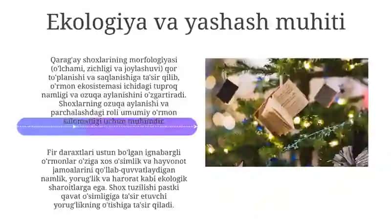 Yelka kamari suyaklari 4