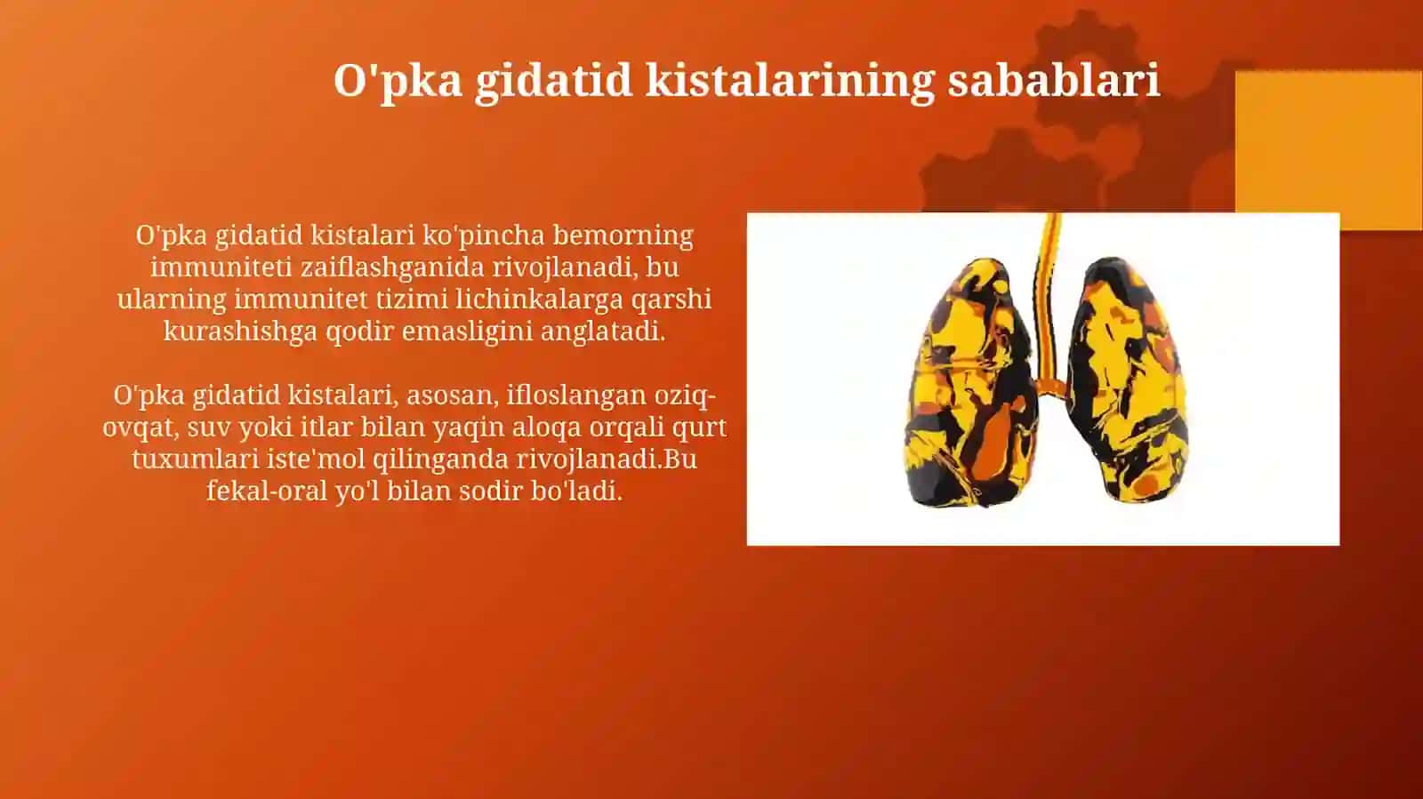 Opka noparazitar kistalari. Spontan pnevmotoraks 4