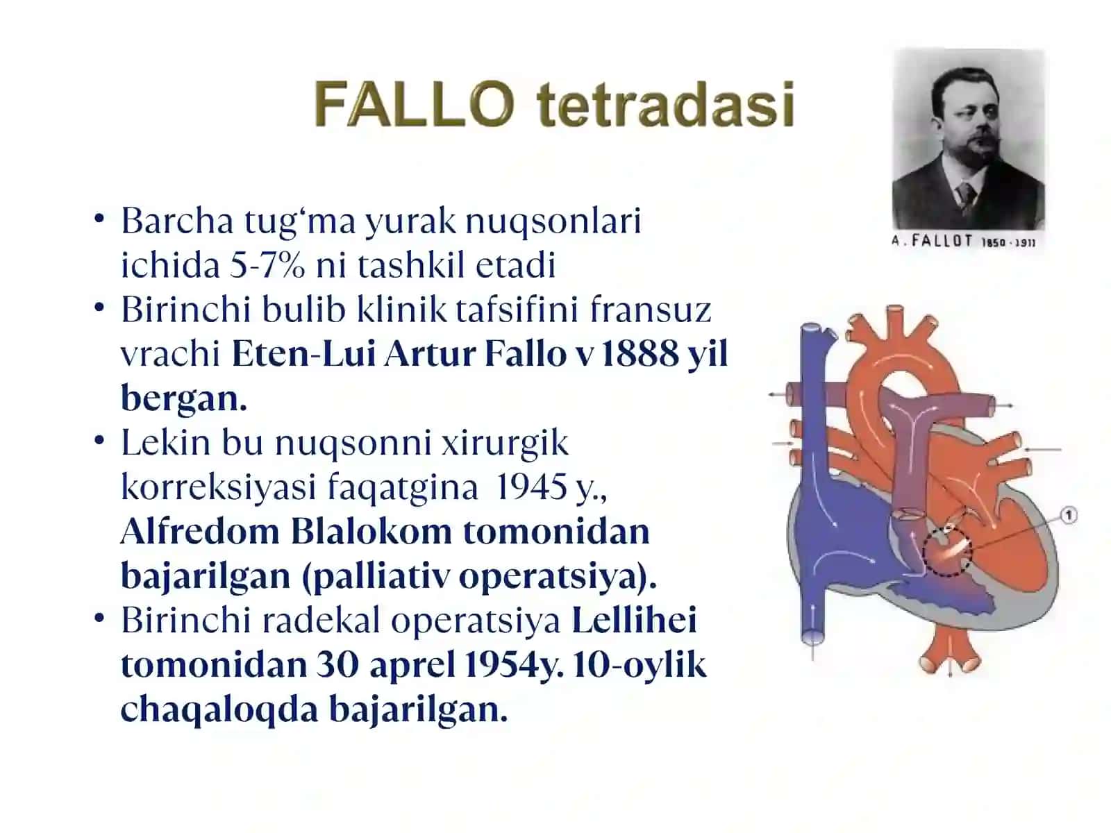 Tug‘ma yurak nuqsonlari embronal davirdagi rivojlanishdagi buzilishlar 4