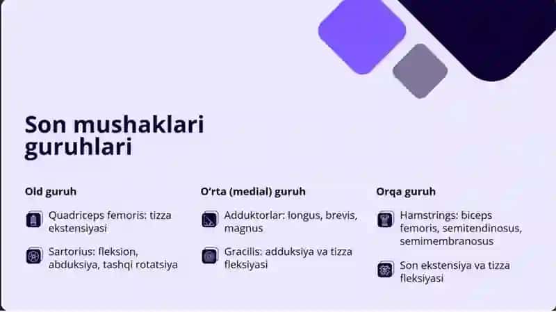 Chanoq va son mushaklari. Boldir va oyoq panjasi mushaklari. Oyoqning sinovial qinlari va ularning yoshga doir xususiyatlari 4