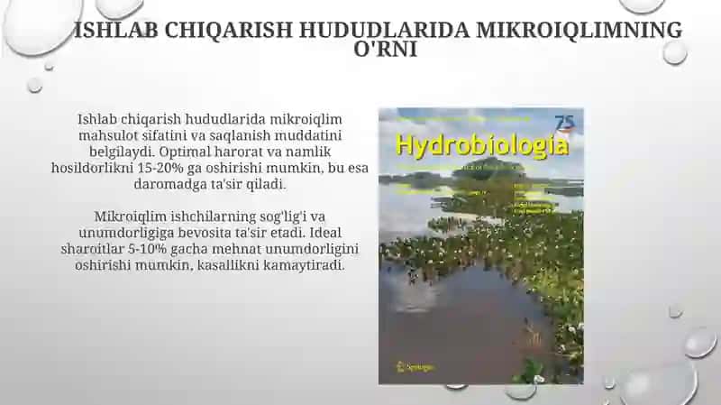 ishlab chiqarish maydonlarida mikroiqlik korsatgichlarini aniqlash 4
