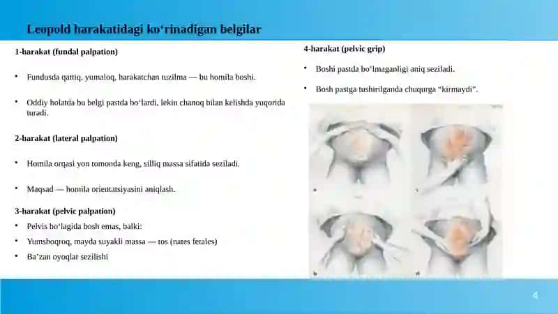 Homila chanogi bilan kelishi 4