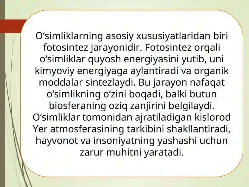 O'simliklar olami 4