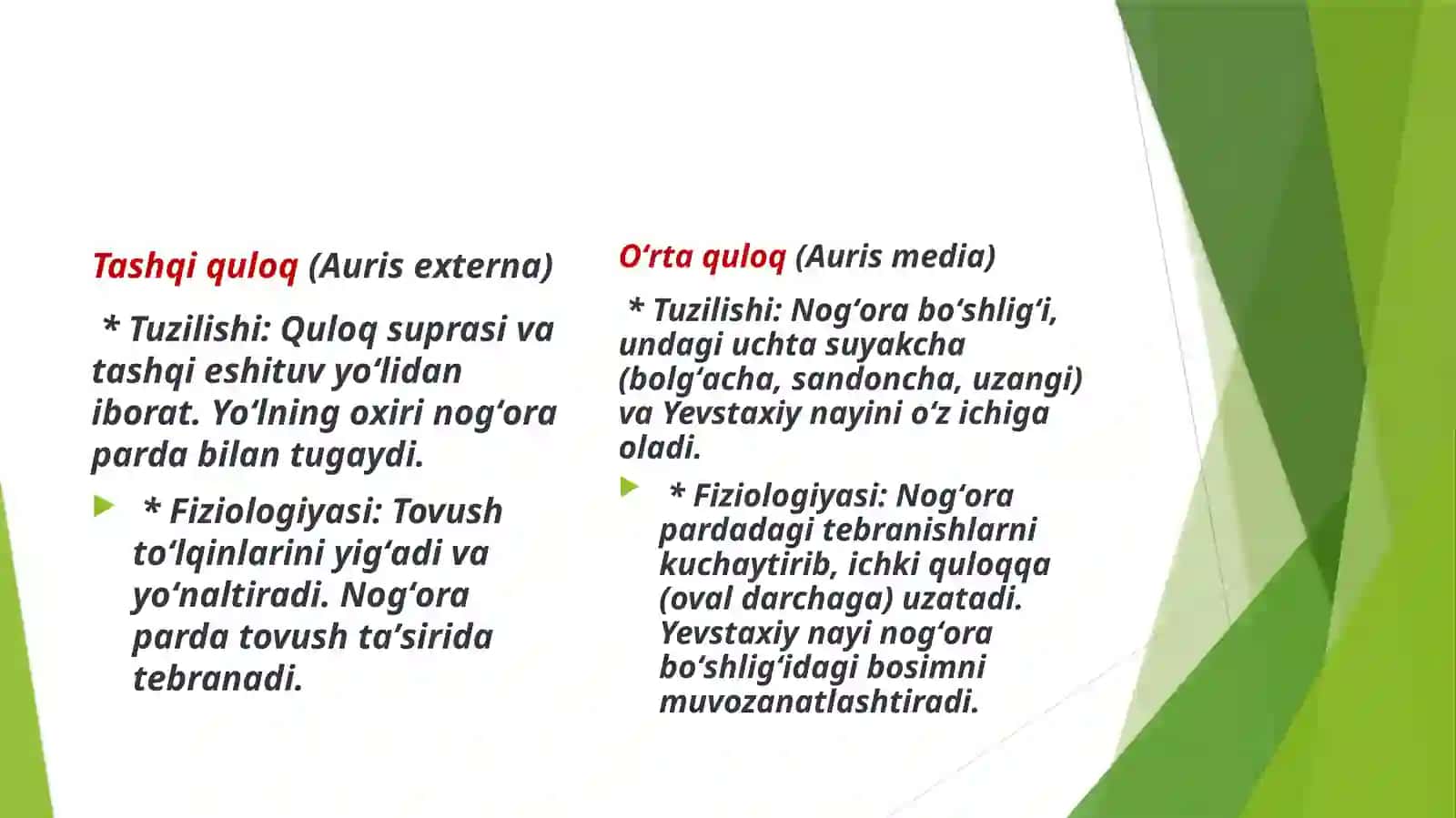 Quloq, burun, tomoq anatomiyasi va fiziologiyasi 4
