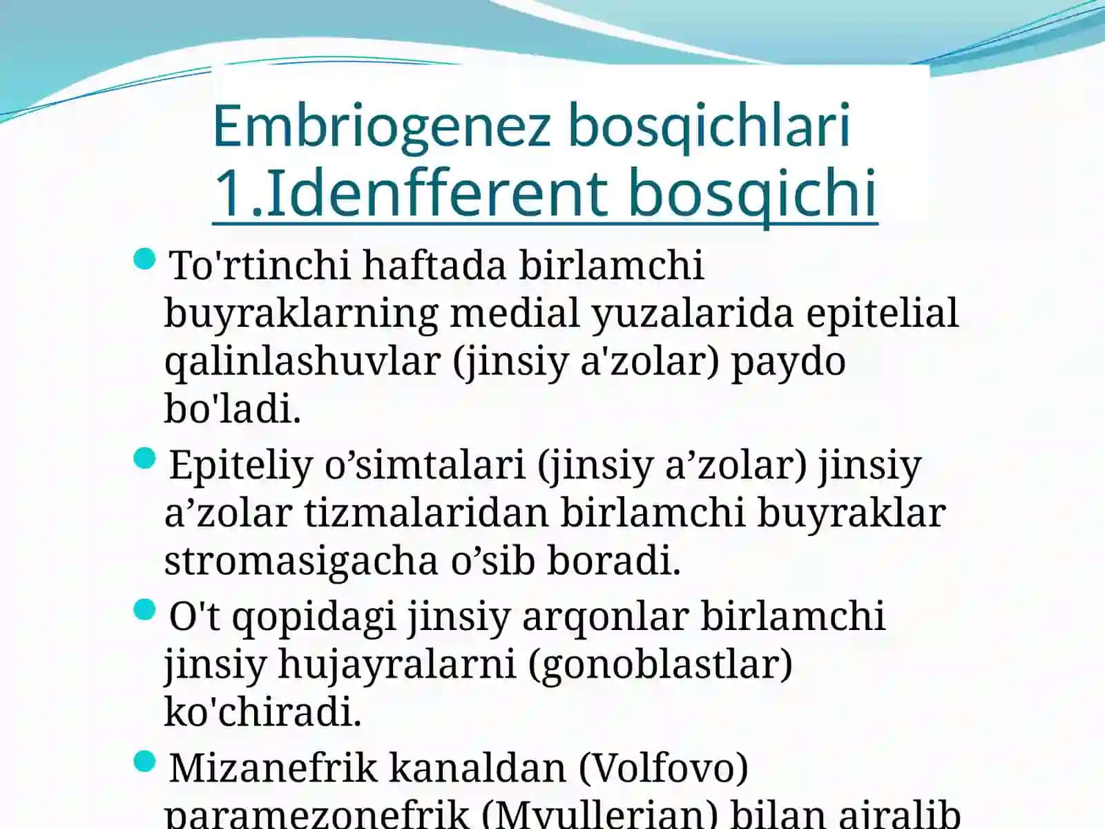 Ayollar jinsiy organi gistologiyasi 4