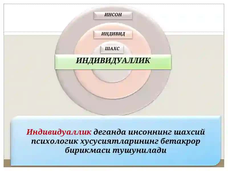 Шахс 4
