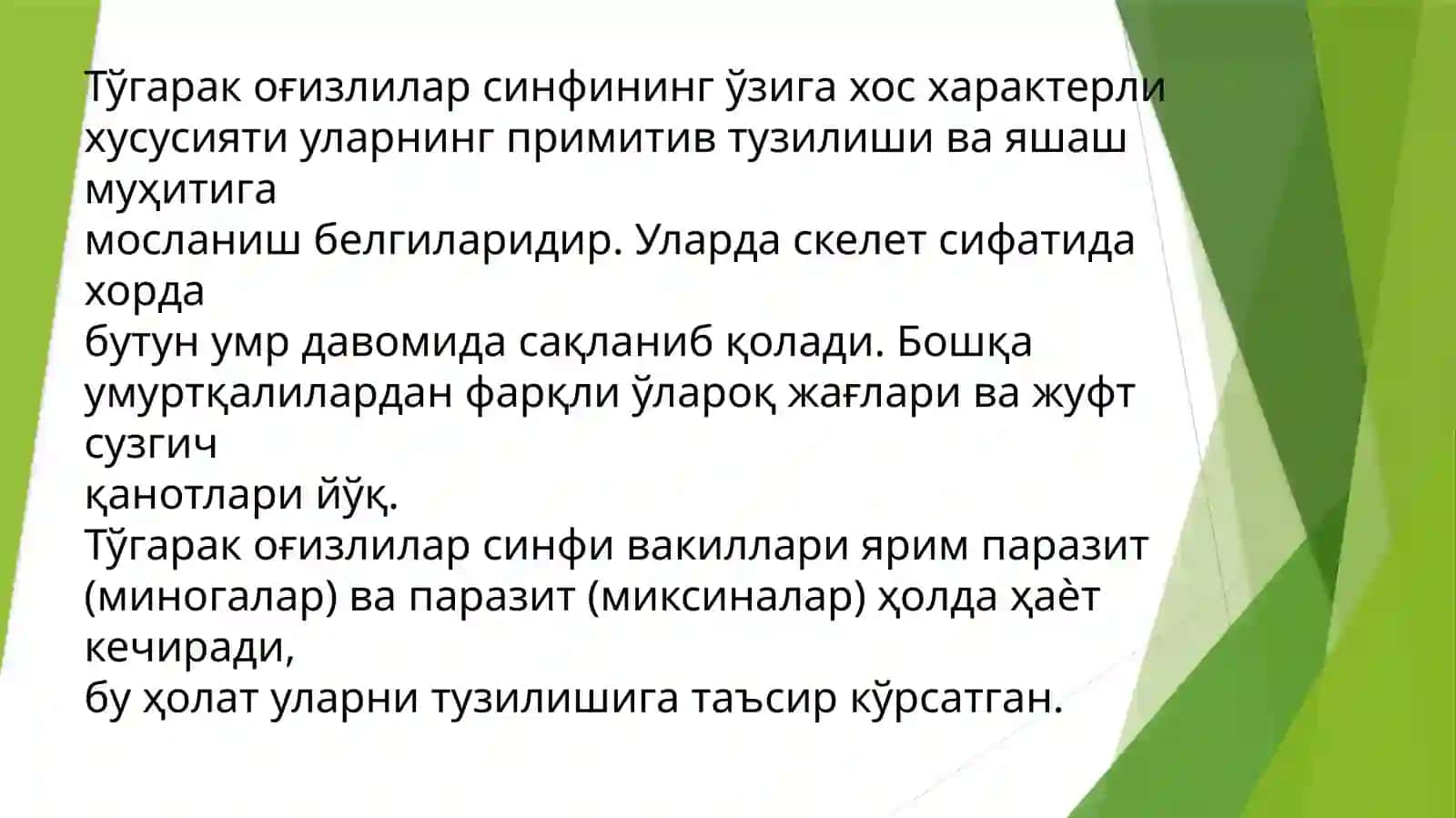 Umurtqalilarning kelib chiqishi 4