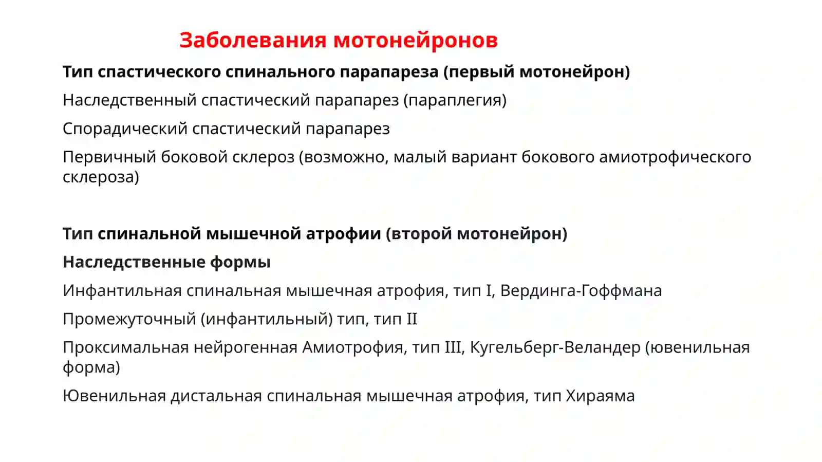 Функциональная характеристика мотонейронов спинного мозга 4