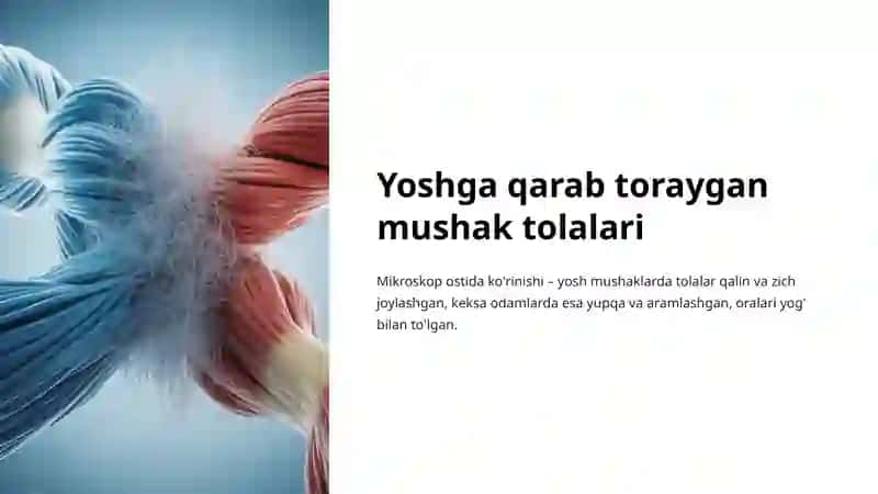 Mushaklarda yoshga qarab o'zgarish 4