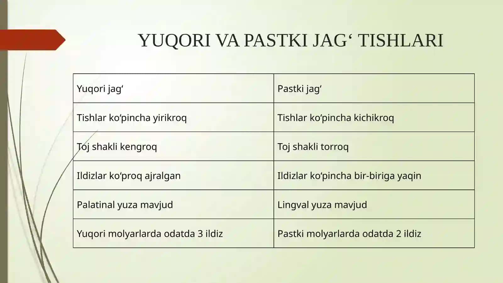 Yuqori va pastkijag‘tishlarining anatomik shaklini muddatli modellashtirish 4