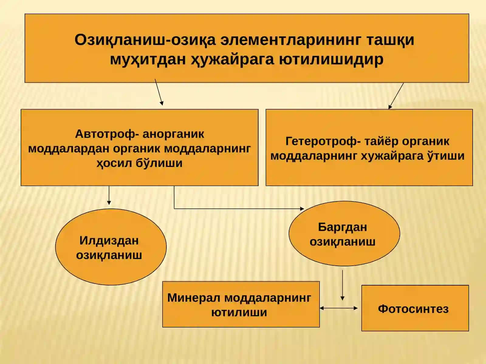Агрокимё ва агротупроқшунослик таълим йўналишлари талабалари учун агрокимё фанидан 4