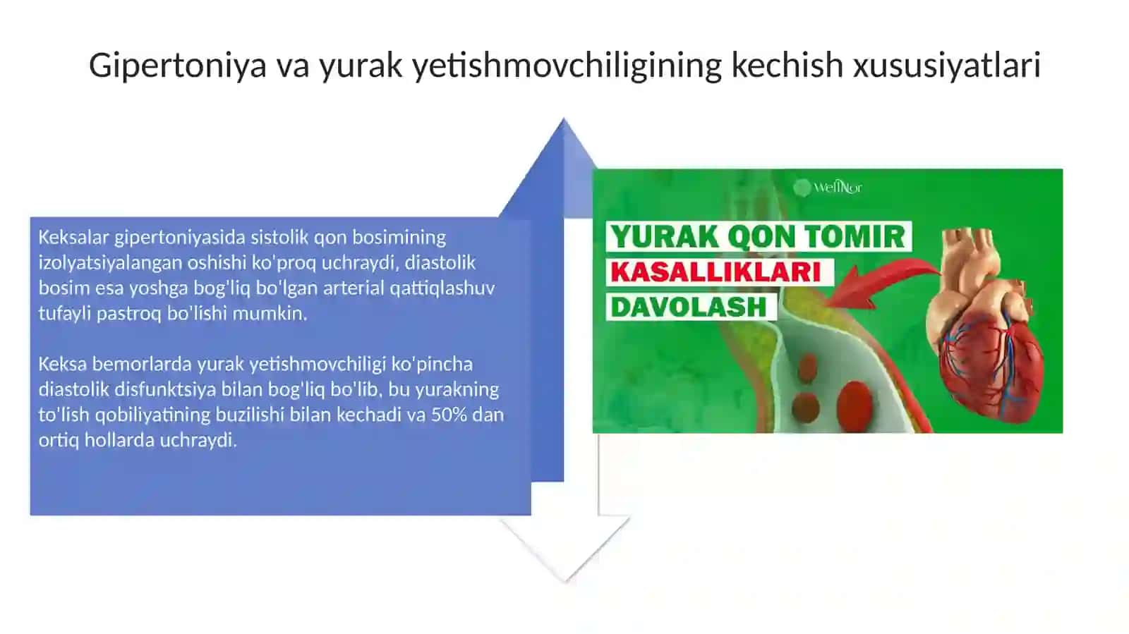 Қарияларда юрак-қон томир тизими касалликларининг ўзига хос кечиши 4