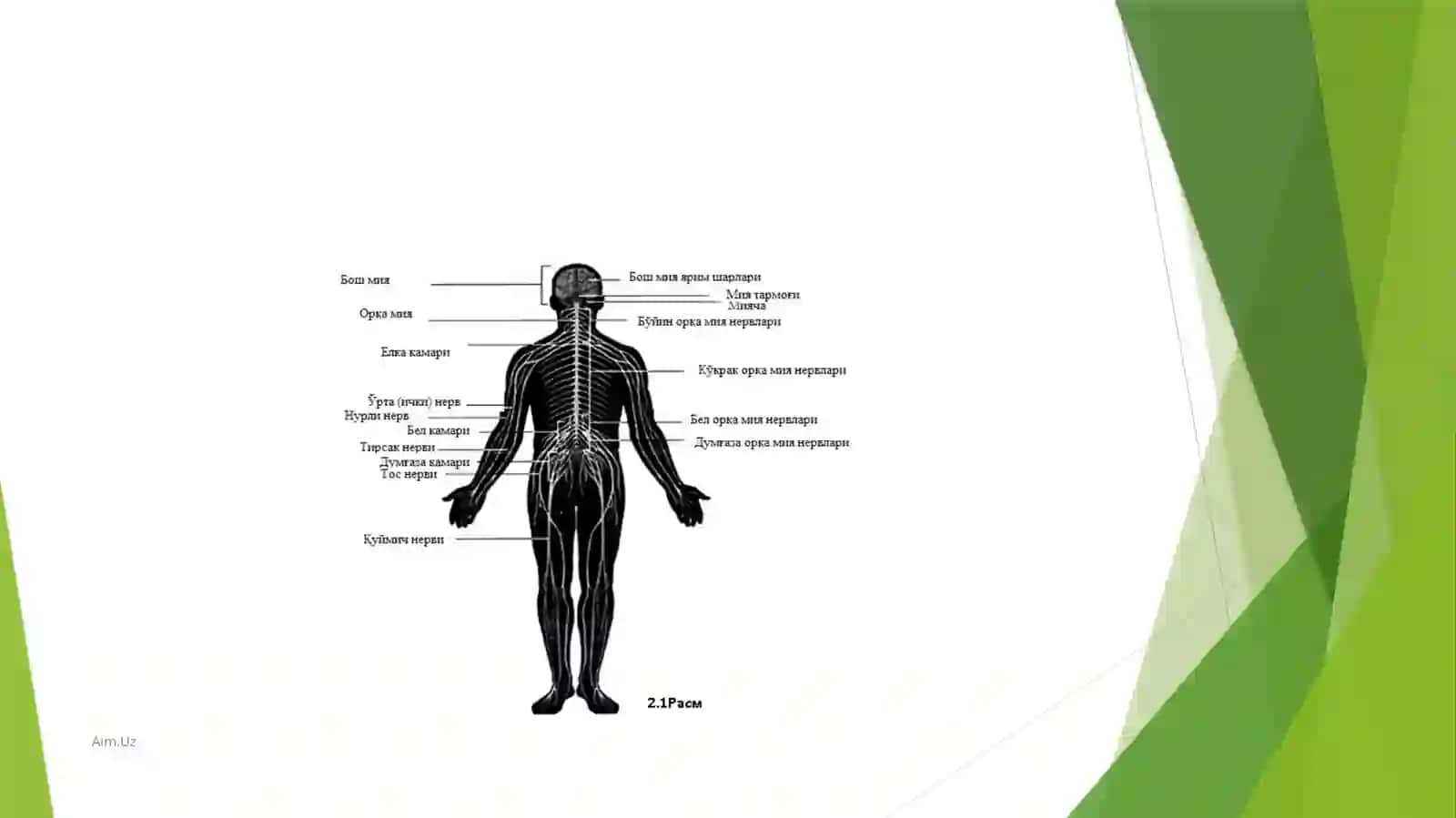 Hulq-atvorning psixofiziologik asosi 4