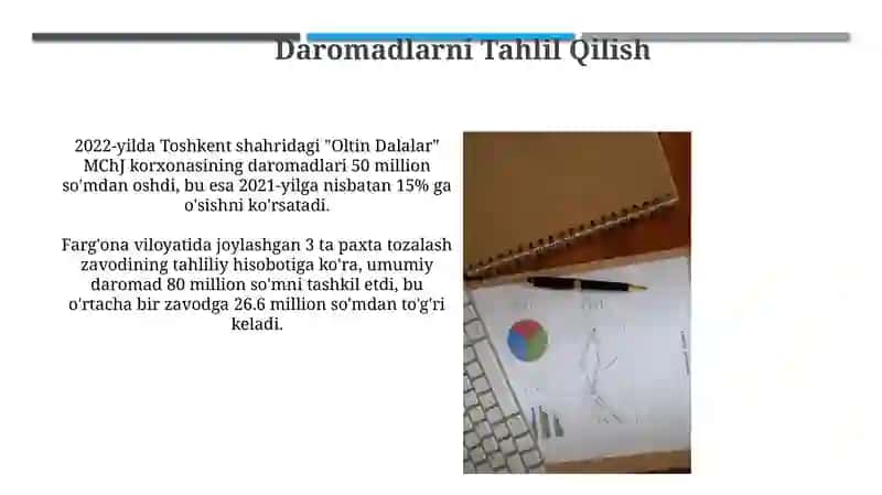 Tahliliy Hisobotlar Bo'yicha Aylanma Davlat Bayonoti 4