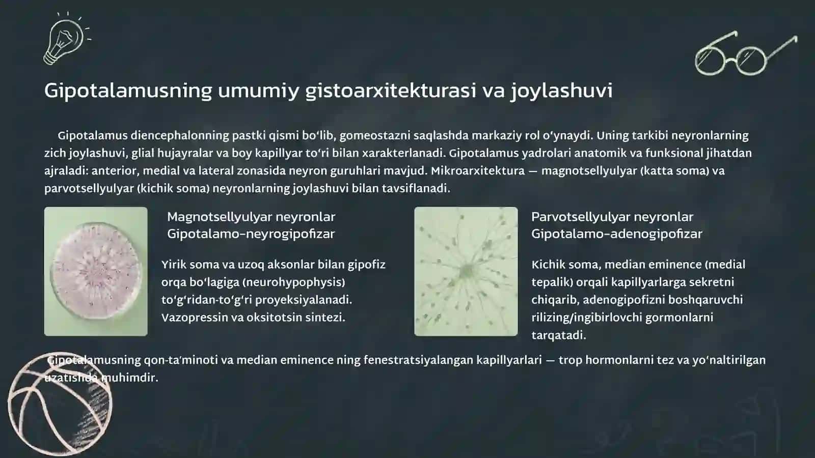 Gipotalamus neyrosekretsiyasining strukturaviy asoslari 4