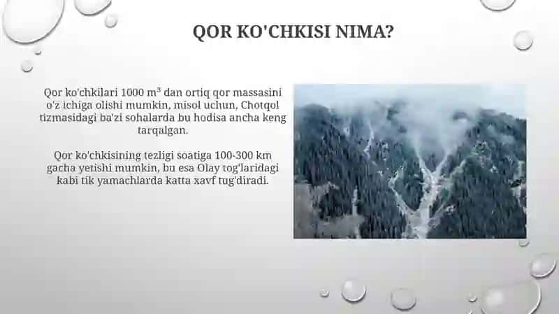 Qorko'chkilari 4