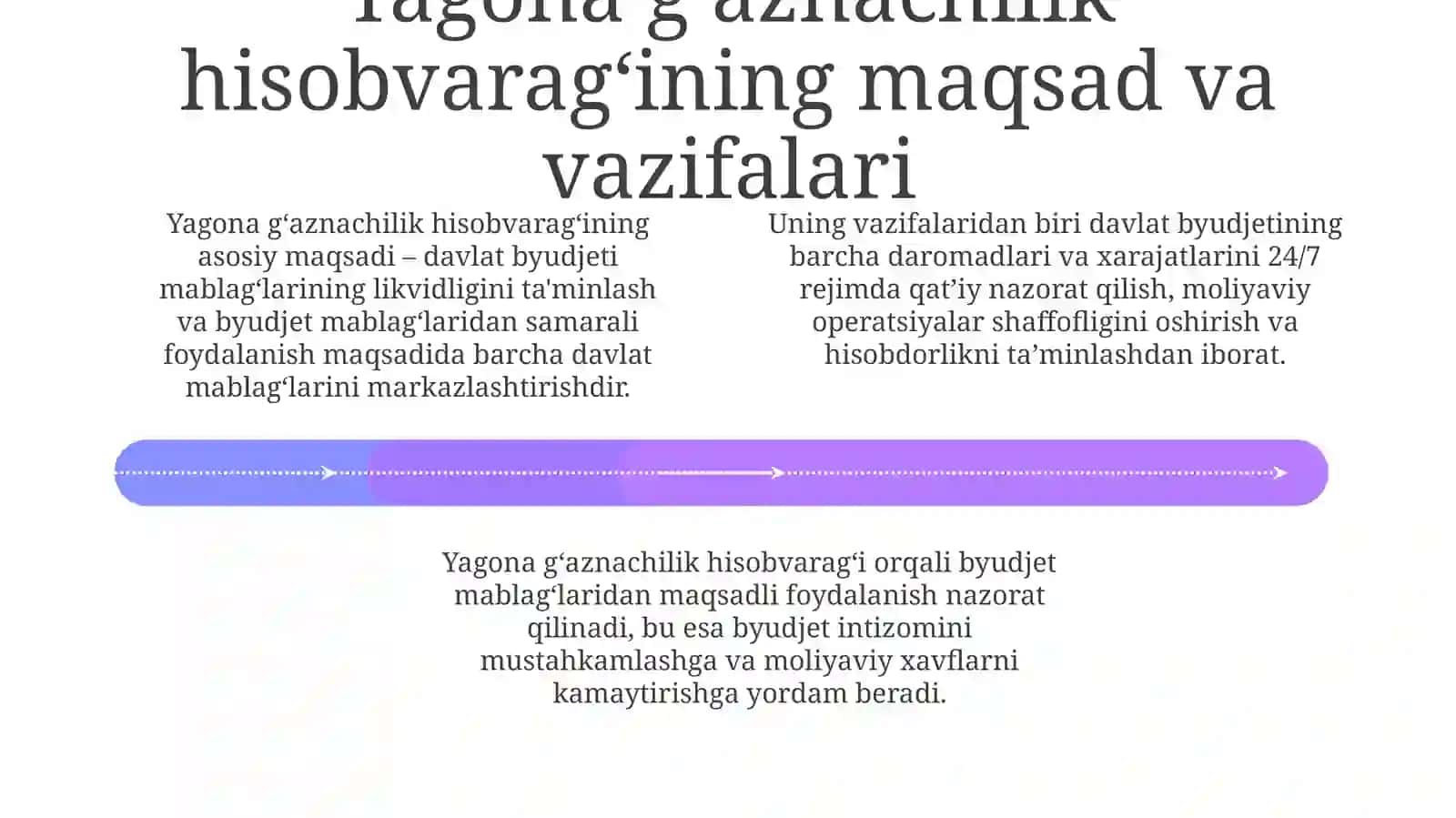 Yagona vakillik hisobi, uning mazmuni va mohiyati 4