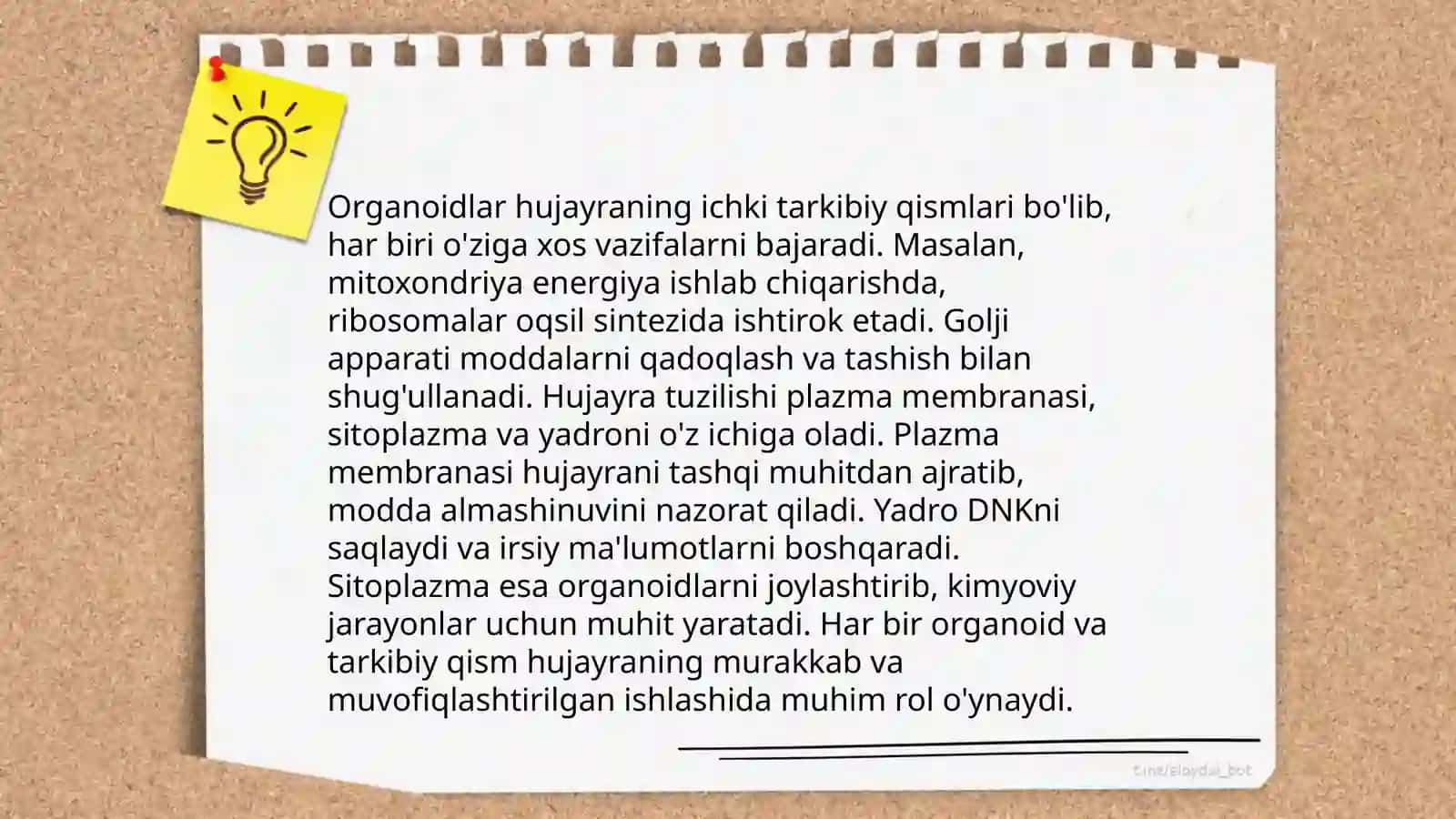 Hujayra orgonoidlari 4