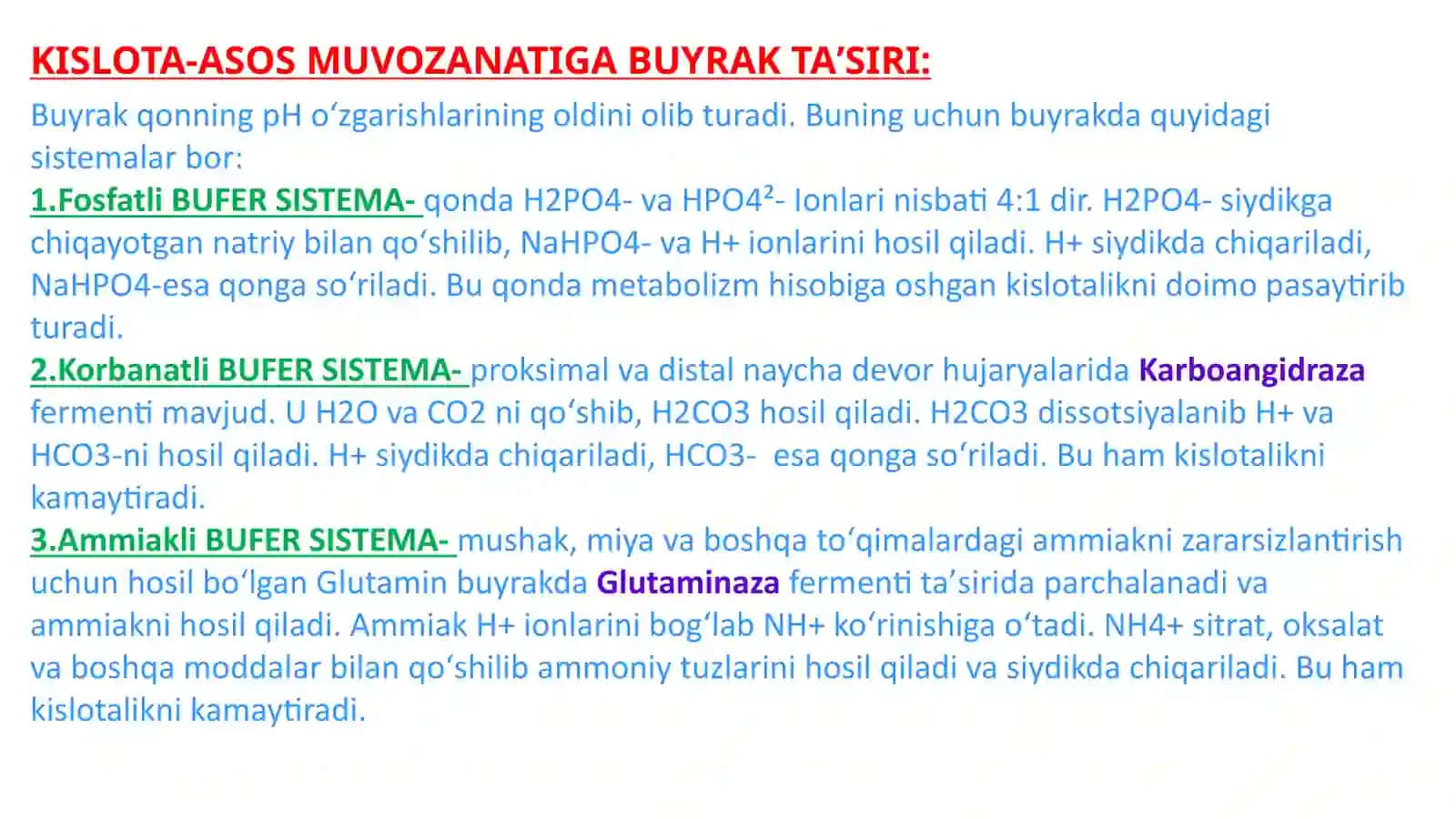 Buyraklar 4