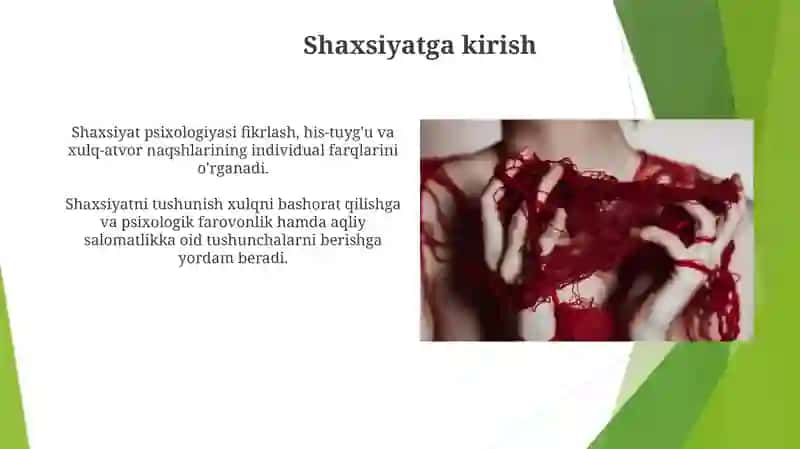 Chet el psixologiyasida shaxs nazariyasi 4