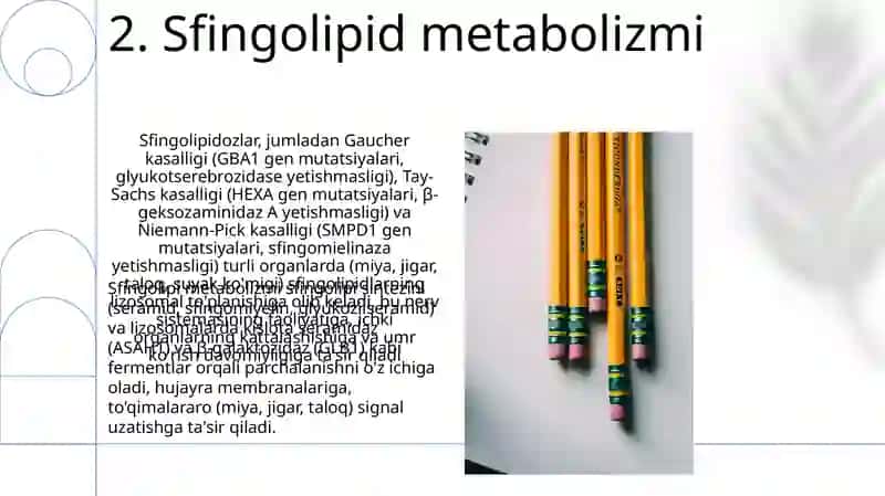 Sfingolipidozlar 4