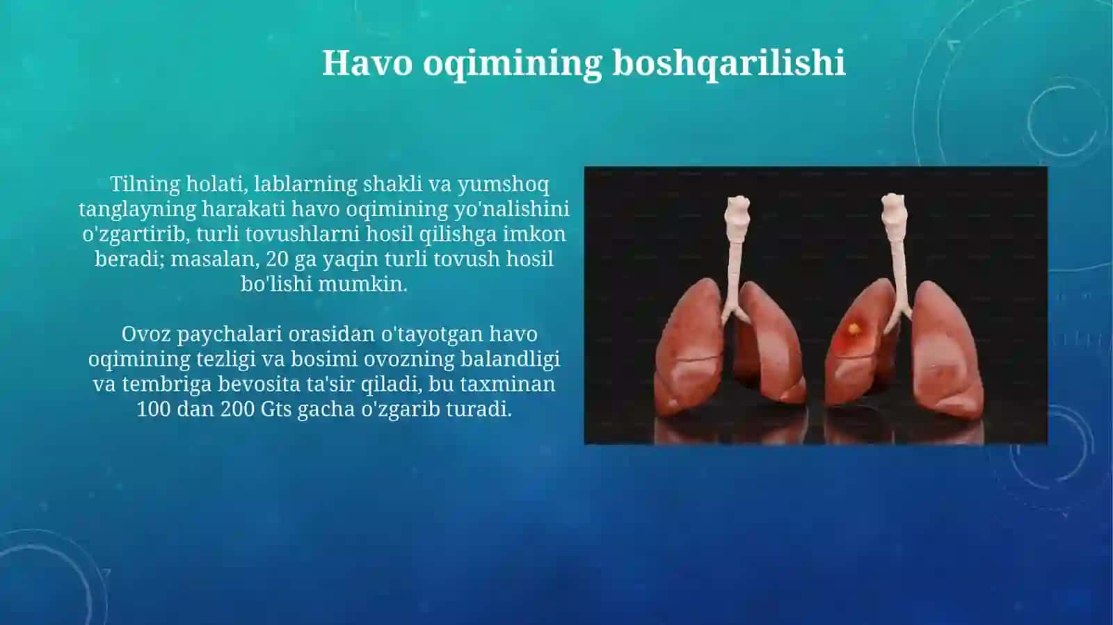 Inson nutq organlari markaziy vaperiferik qismlari 4