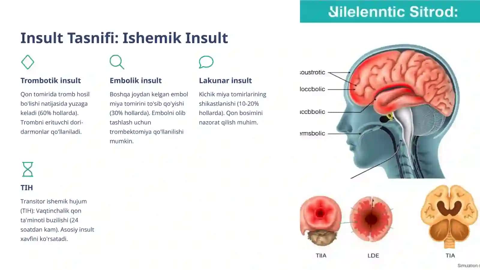 Insult Etiologiyasi, Tasnifi va Insultlarda Birinchi Yordam Algoritmi 4